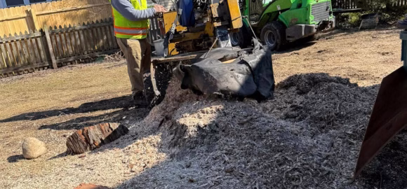 STUMP GRINDING