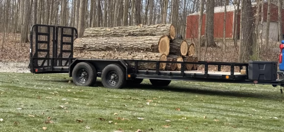 LOG REMOVAL